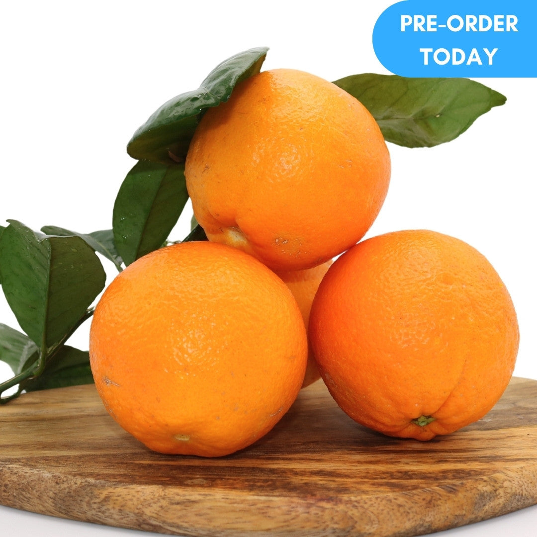 PRE-ORDER ALGARVE ORANGES 10 KG + 10% FREE