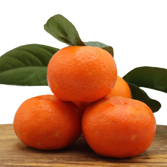 Oranges & Tangerines from the Algarve - Mixed Box 1 kg